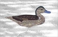 Mallard Hen (PES)