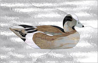 Pin Tail Duck (PES)