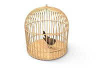 Tweety Bird Cage