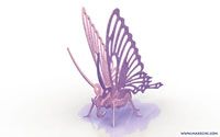 Beautiful Butterfly (plasma)