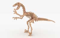 Deinonychus Set B