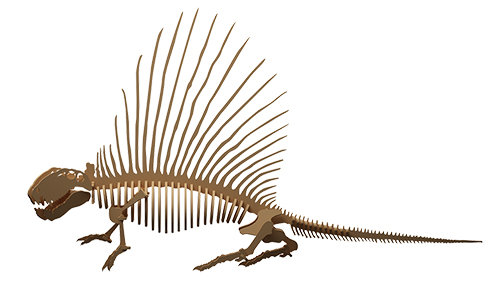 Dimetrodon Dinosaur (Anatomically Correct) - Dinosaurs | MakeCNC.com