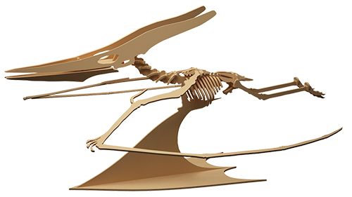 Pterodactyl (Anatomically Correct)