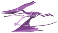 Pteradactyl Dinosaur Plasma Version (Anatomically Correct)