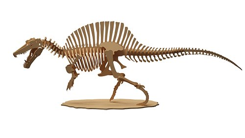Spinosaurus Dinosaur (Anatomically Correct)
