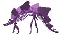 Stegosaurus - Covered Lizard Dinosaur Plasma Version (Anatomically Correct)