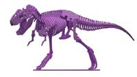 Tyrannosaurus Rex Dinosaur Plasma Version (Anatomically Correct)