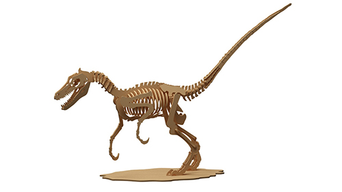 Velociraptor Dinosaur (Anatomically Correct)