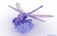 Dynamic Dragonfly (plasma)