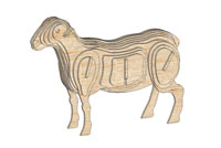 Dorper Ewe (sheep)