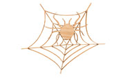 Arachnia Spider Queen - Halloween Pattern