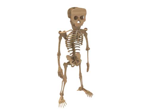 Halloween Skeleton