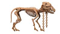 Orthrus the Two Headed Hellhound Skeleton - Halloween