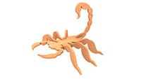 Deathstalker Scorpion