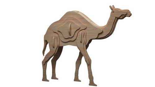 The Single Hump Camel