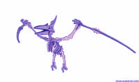 The Pterodactyl "Flying Lizard" (plasma)