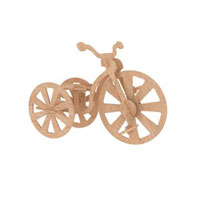 The LittleNZ Tricycle