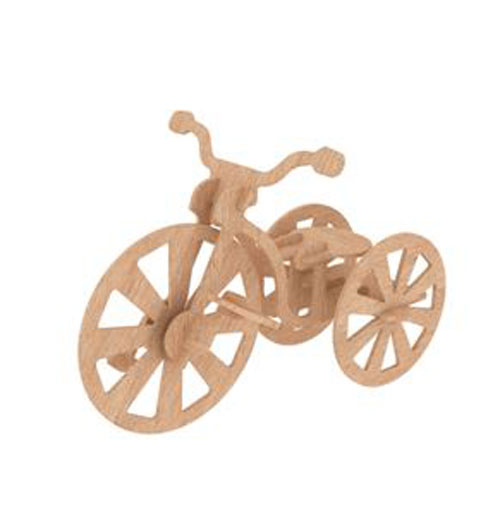 The LittleNZ Tricycle