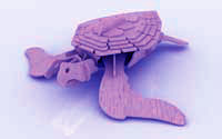 The Sea Turtle (plasma)
