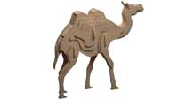 The Double Hump Camel