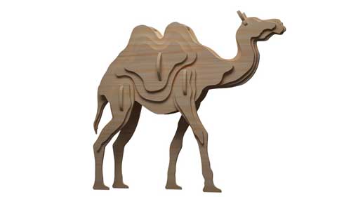 The Double Hump Camel