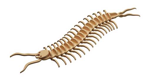 Centipede