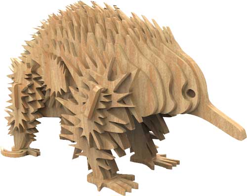 Echidna - Australian Animals