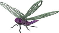 Hine's Emerald Dragonfly