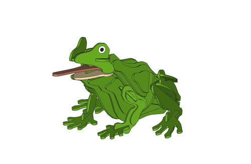 The Amphibious Frog