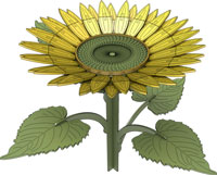 Mirasol Sunflower
