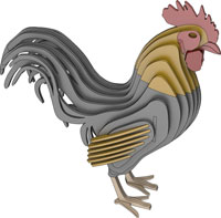 Swedish Rooster